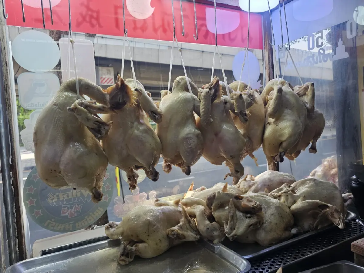 ‘มงคลวัฒนาข้าวมันไก่’  เจ้าเก่าสะพานควาย ไก่นุ่ม น้ำจิ้มรสเด็ด