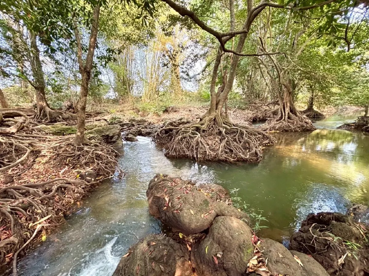 หน้าร้อน ปักหมุดเที่ยวเลย 'น้ำตกท่าสวรรค์' อ.นาด้วง น้ำใสไหลเย็น