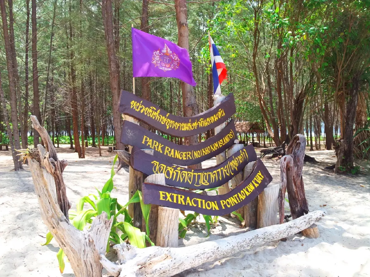 ค้างคืนบนเกาะกำ