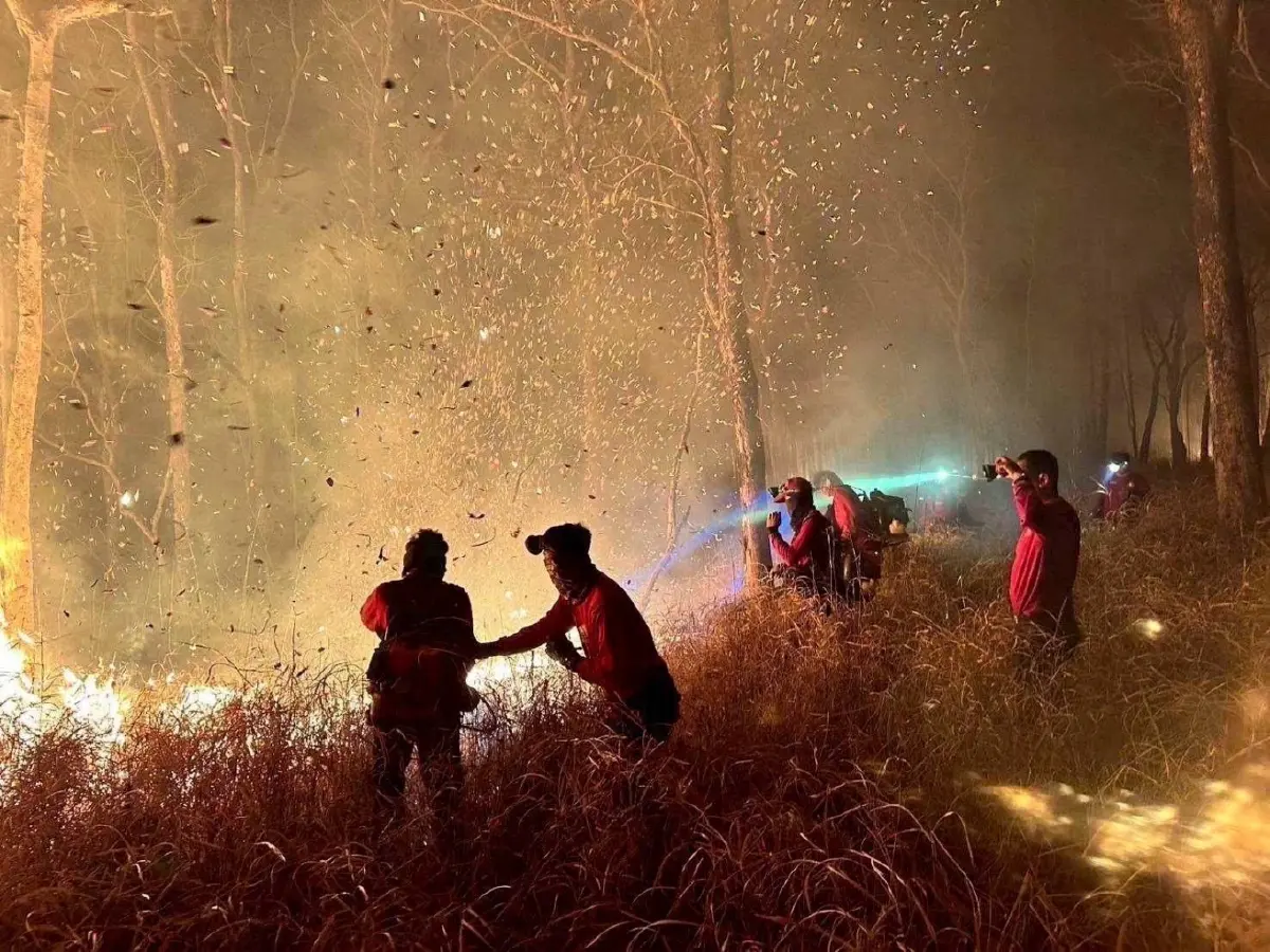 รัฐบาล สั่ง 'ปิดป่าทั่วประเทศ' สกัดไฟป่า-ฝุ่น PM2.5 ขั้นสูงสุด