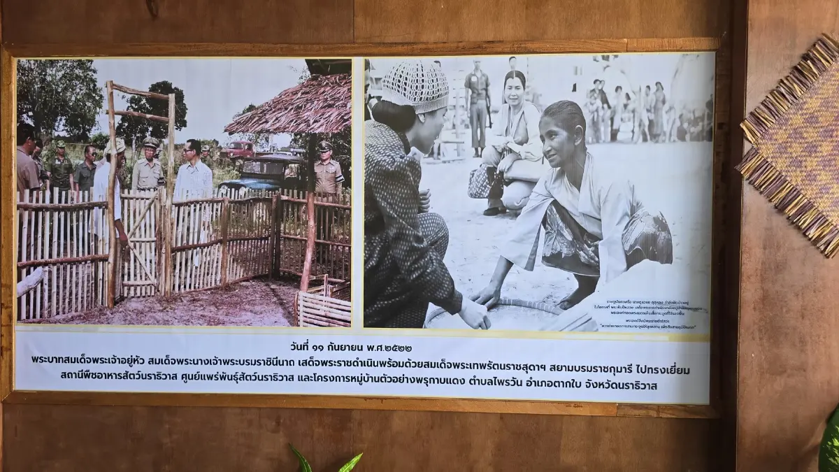 ‘ปิดทองหลังพระ’ ขับเคลื่อน 10 หมู่บ้าน ต้นแบบพัฒนาที่ยั่งยืนท่ามกลางวิกฤติ