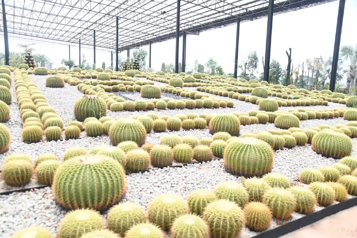 อุดรฯ พร้อมโชว์ พืชสวนโลกทะลุ 70% ปักหมุดแลนด์มาร์คระดับโลก