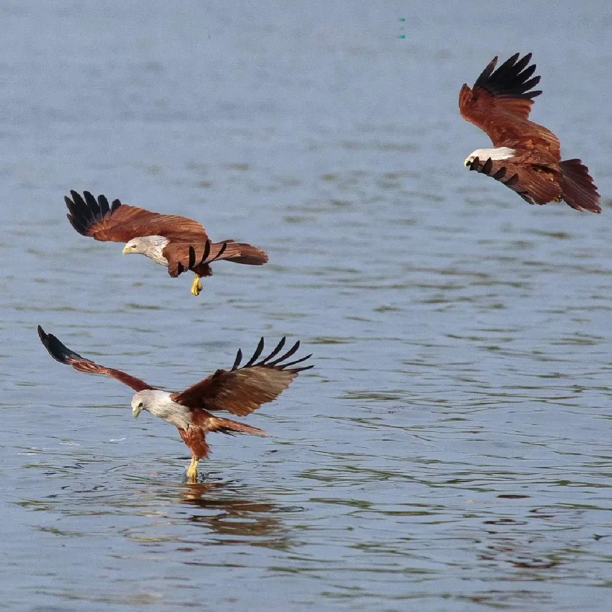 เที่ยวแบบนักอนุรักษ์ เนิบ ๆ ช้า ๆ ที่ 'ปากน้ำประแส'