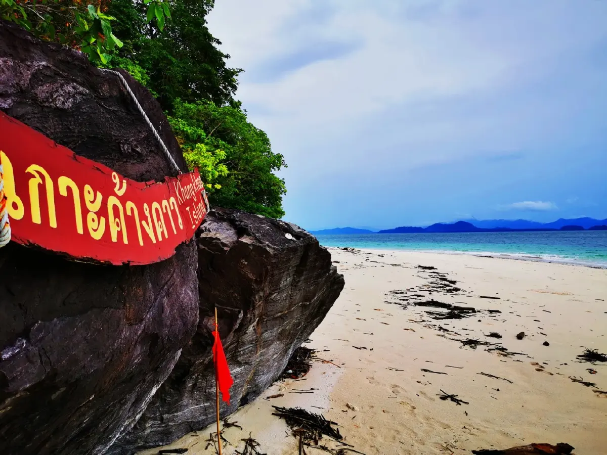 ค้างคืนบนเกาะกำ