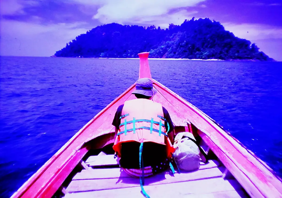 ค้างคืนบนเกาะกำ