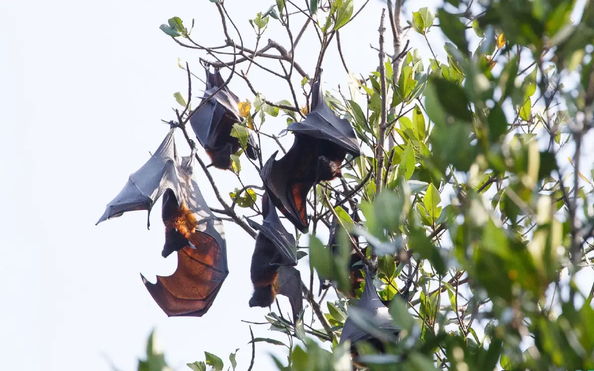 เที่ยวแบบนักอนุรักษ์ เนิบ ๆ ช้า ๆ ที่ 'ปากน้ำประแส'