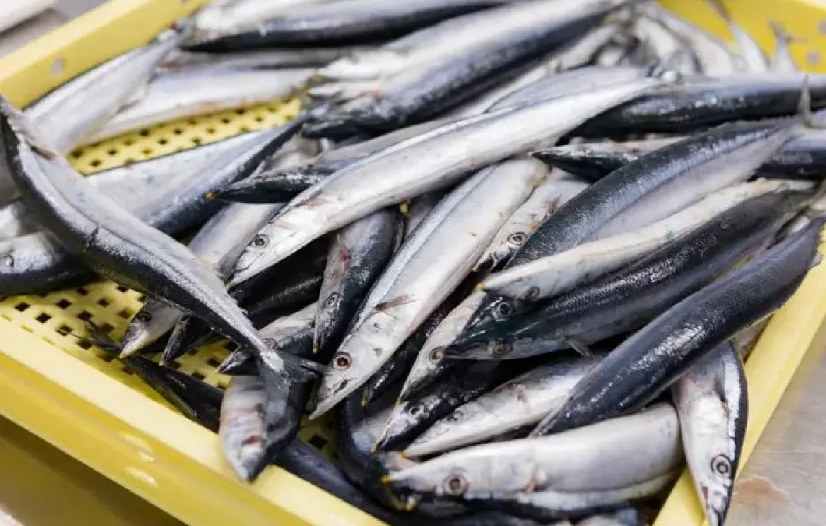 หลังสงกรานต์ ราคาสินค้าประมง พุ่ง 10-15% เรือจ่อจอด 90% กระทบแรงงาน 5 หมื่นราย