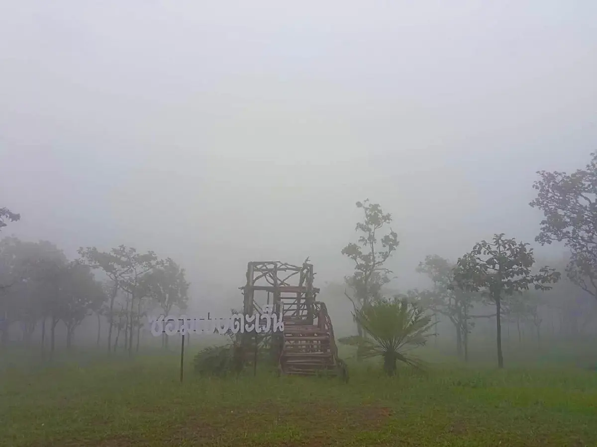 เผยโฉม ดอกกระเจียวบาน ดอกแรกแห่งปี ที่ชัยภูมิ ไปเที่ยวหน้าฝนกัน