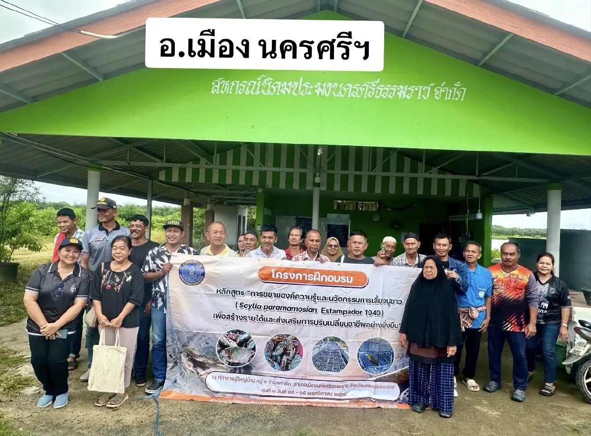 กรมประมงเปิดสูตรเลี้ยงปูขาวเชิงนิเวศ ทุนวิจัยดันกำไรพุ่ง 71%