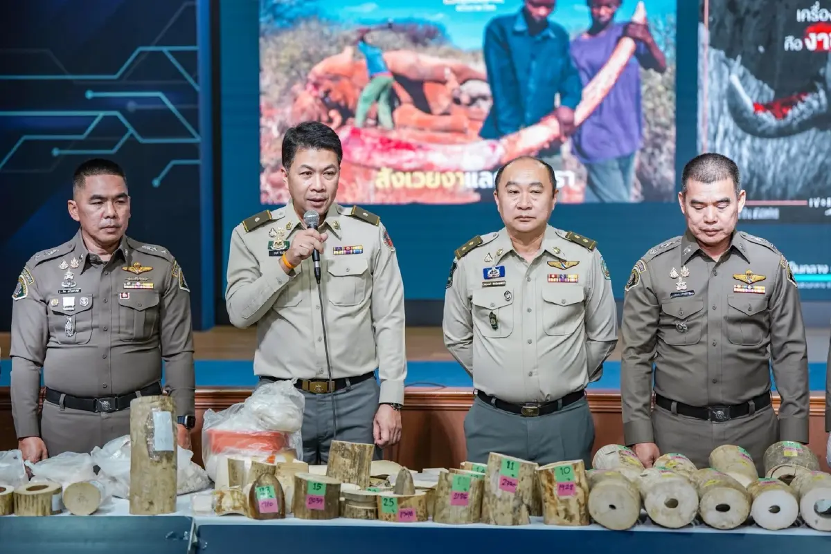 บุก 7 จังหวัด ทลายเครือข่ายค้างาช้าง จับ 9 ยึดของกลางหลายล้าน