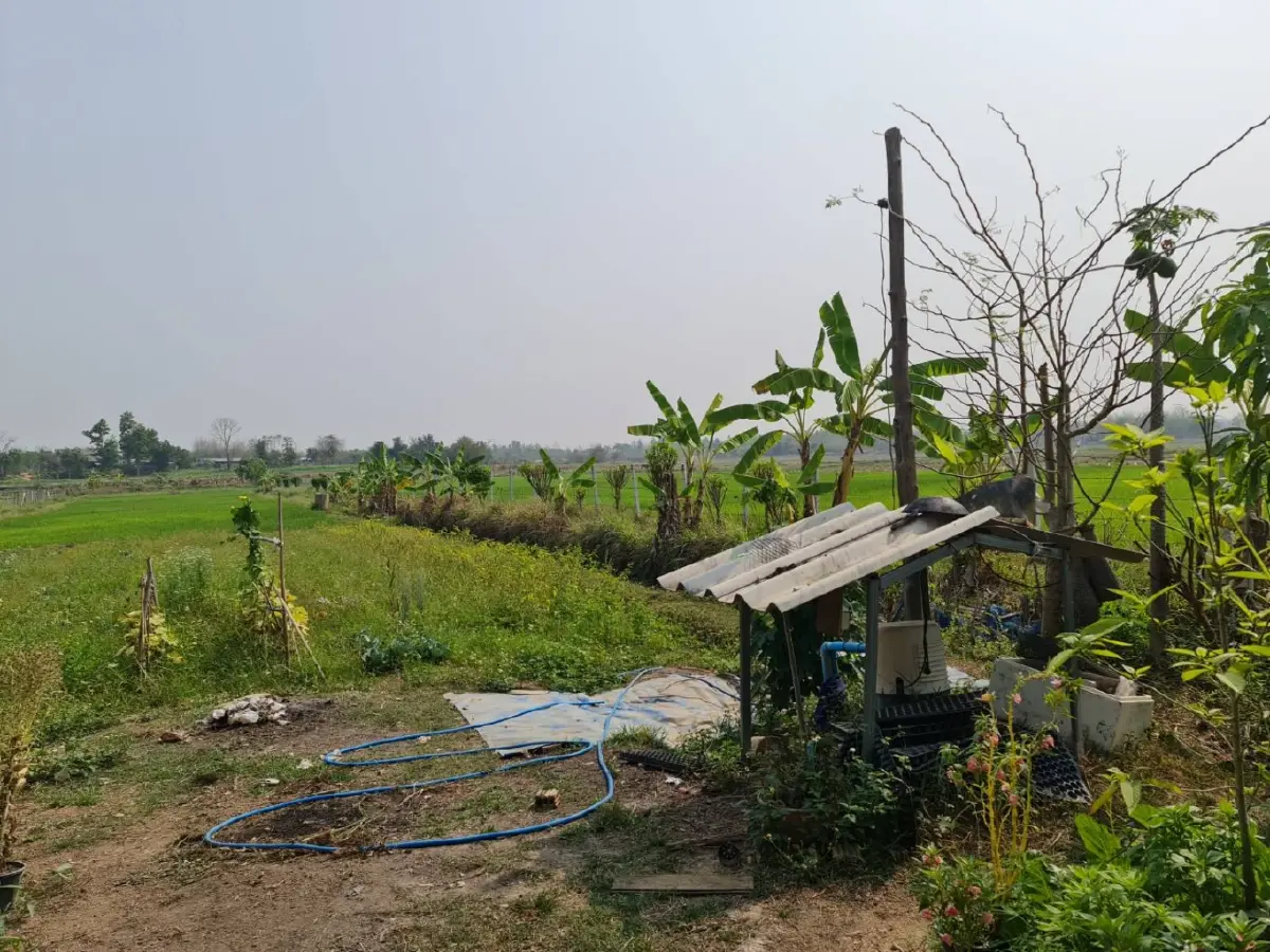 นิคมสหกรณ์ปี 69 รายได้พุ่ง 7 เดือนกวาด 9 ล้าน มั่นใจทั้งปีทะลุเป้า
