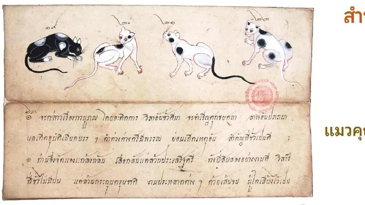 มารู้จัก ‘แมวไทย’ ให้มากขึ้น ผ่าน ‘วิฬาร์วรรณนา’ กวีนิพนธ์ตำราแมว