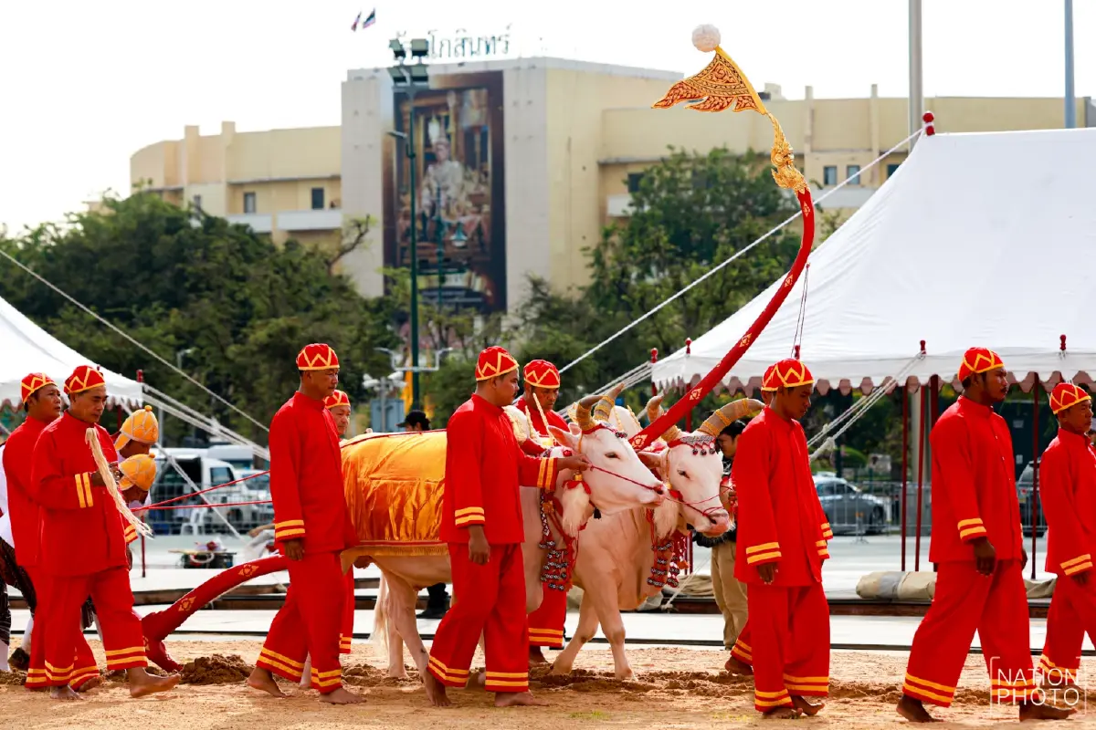 ภาพชุด ซ้อมใหญ่ งานพระราชพิธีพืชมงคลจรดพระนังคัลแรกนาขวัญ 2569