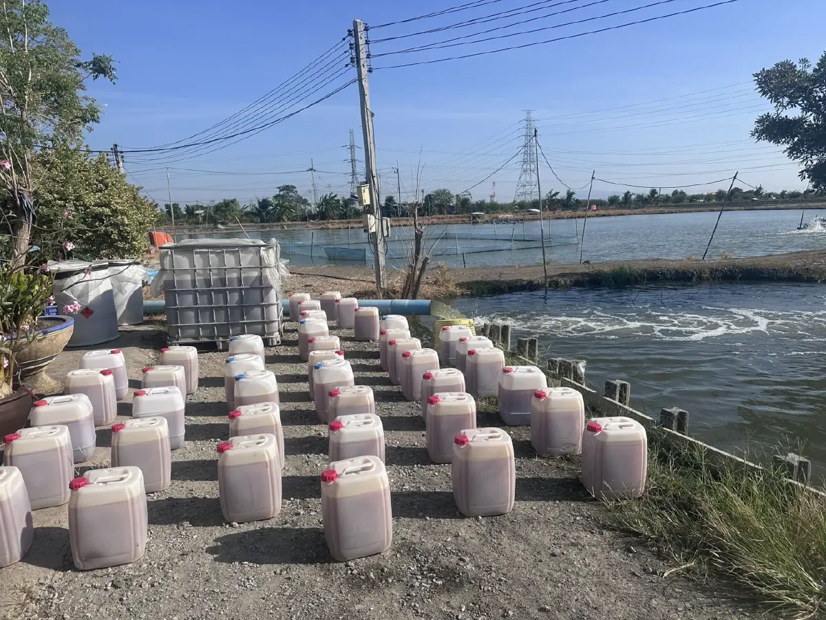 กรมประมงเปิดสูตรเลี้ยงปูขาวเชิงนิเวศ ทุนวิจัยดันกำไรพุ่ง 71%