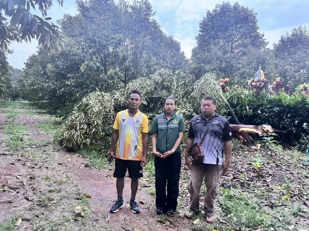 'โลกรวน' แต่เราต้องรอด.. 3 สเต็ปเกษตรกรชิงสิทธิเยียวยาให้ทันใจ