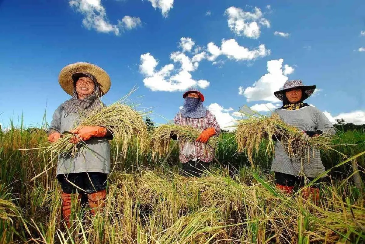 สุริยะ ปลื้มเกษตรไทยไตรมาสแรกเกินดุลพุ่ง 1.94 แสนล้าน ลุยอัปมูลค่า