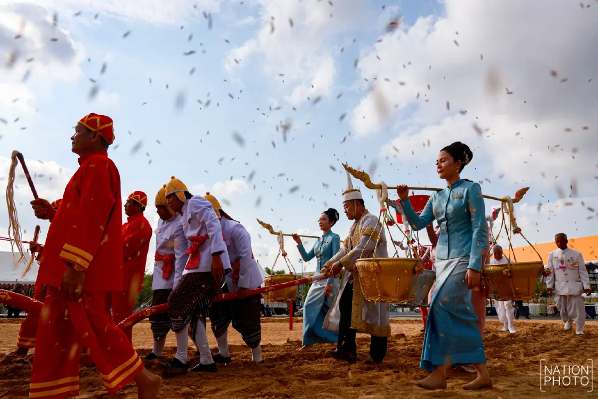ภาพชุด ซ้อมใหญ่ งานพระราชพิธีพืชมงคลจรดพระนังคัลแรกนาขวัญ 2569
