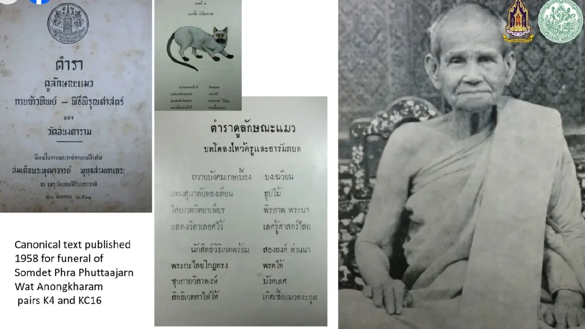 มารู้จัก ‘แมวไทย’ ให้มากขึ้น ผ่าน ‘วิฬาร์วรรณนา’ กวีนิพนธ์ตำราแมว