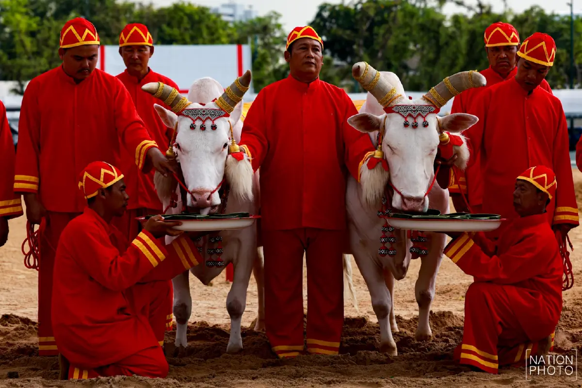 ภาพชุด ซ้อมใหญ่ งานพระราชพิธีพืชมงคลจรดพระนังคัลแรกนาขวัญ 2569