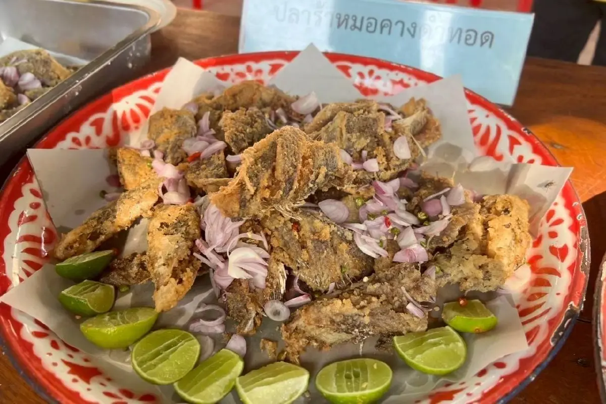 DNA ชี้ชัด “ปลาหมอคางดำ” ระบาดไทย เกิดจากการนำเข้าหลายครั้ง