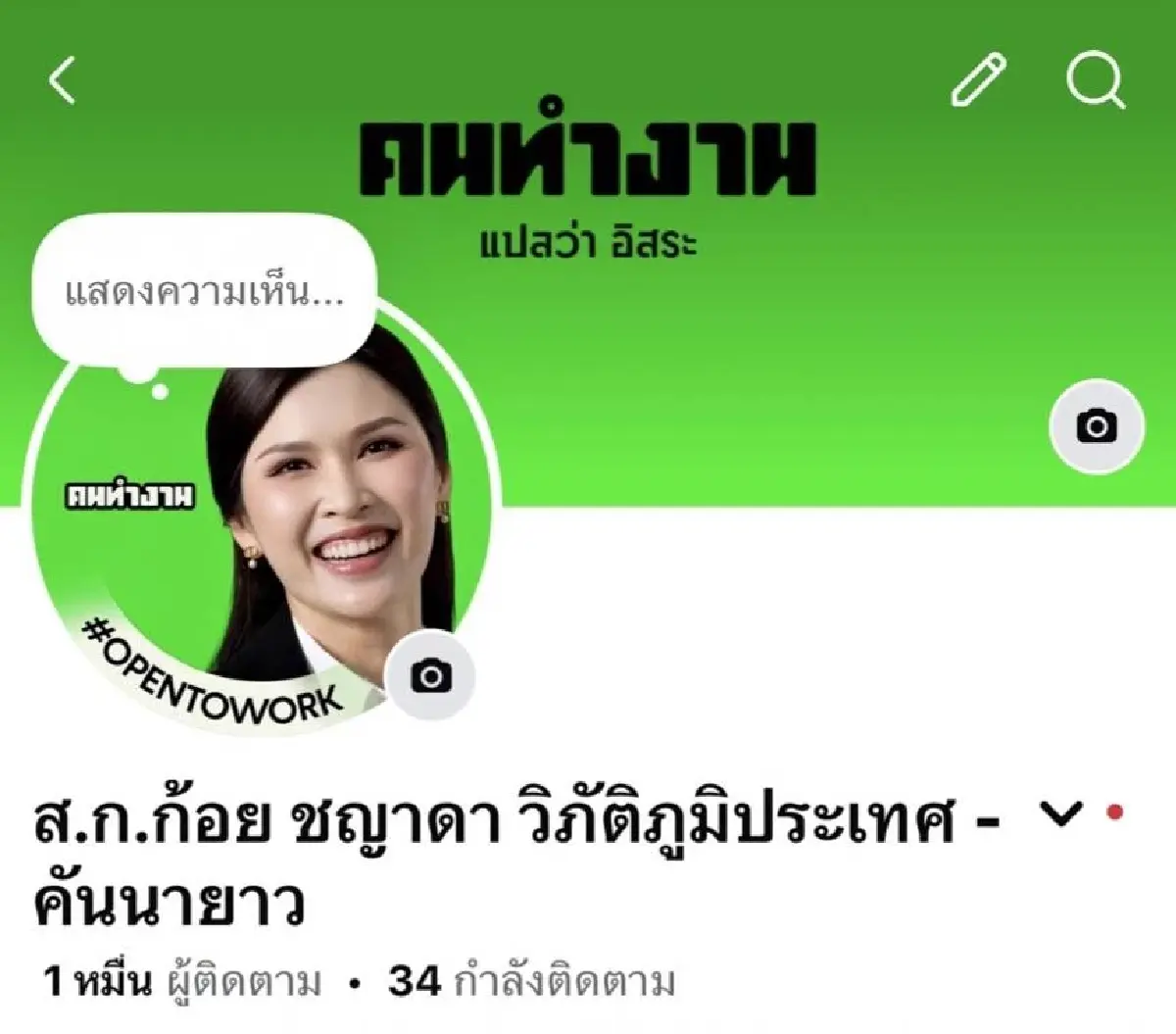 10 สก. พท. ย้ายค่ายชิง สก. กลุ่มคนทำงาน ระดมเปลี่ยนโปรไฟล์โทนสีเขียว
