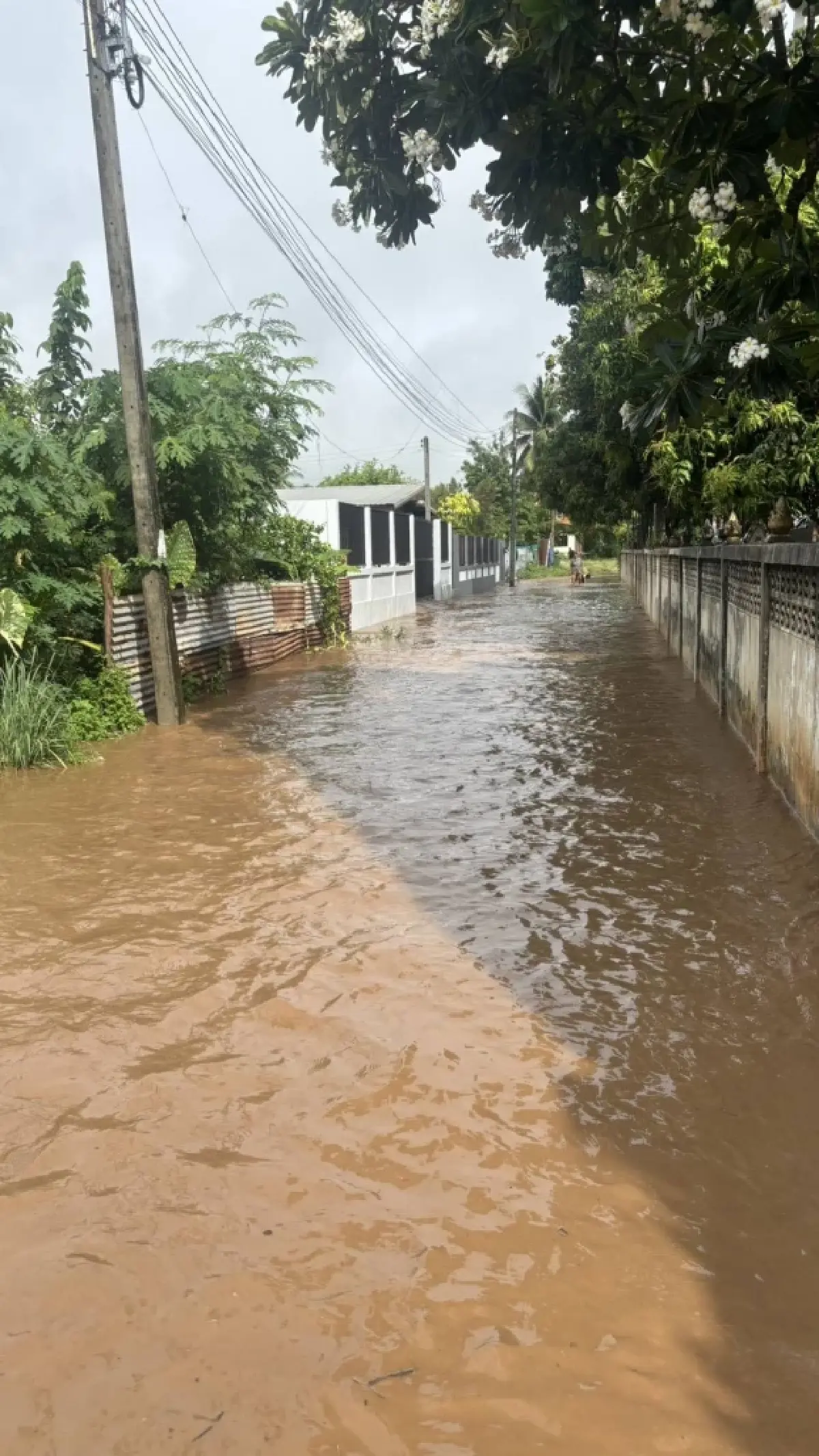 ฝนตกหนักเพชรบูรณ์ น้ำป่าทะลักจม 3 ตำบล ชาวบ้านหนีน้ำท่วมวุ่น