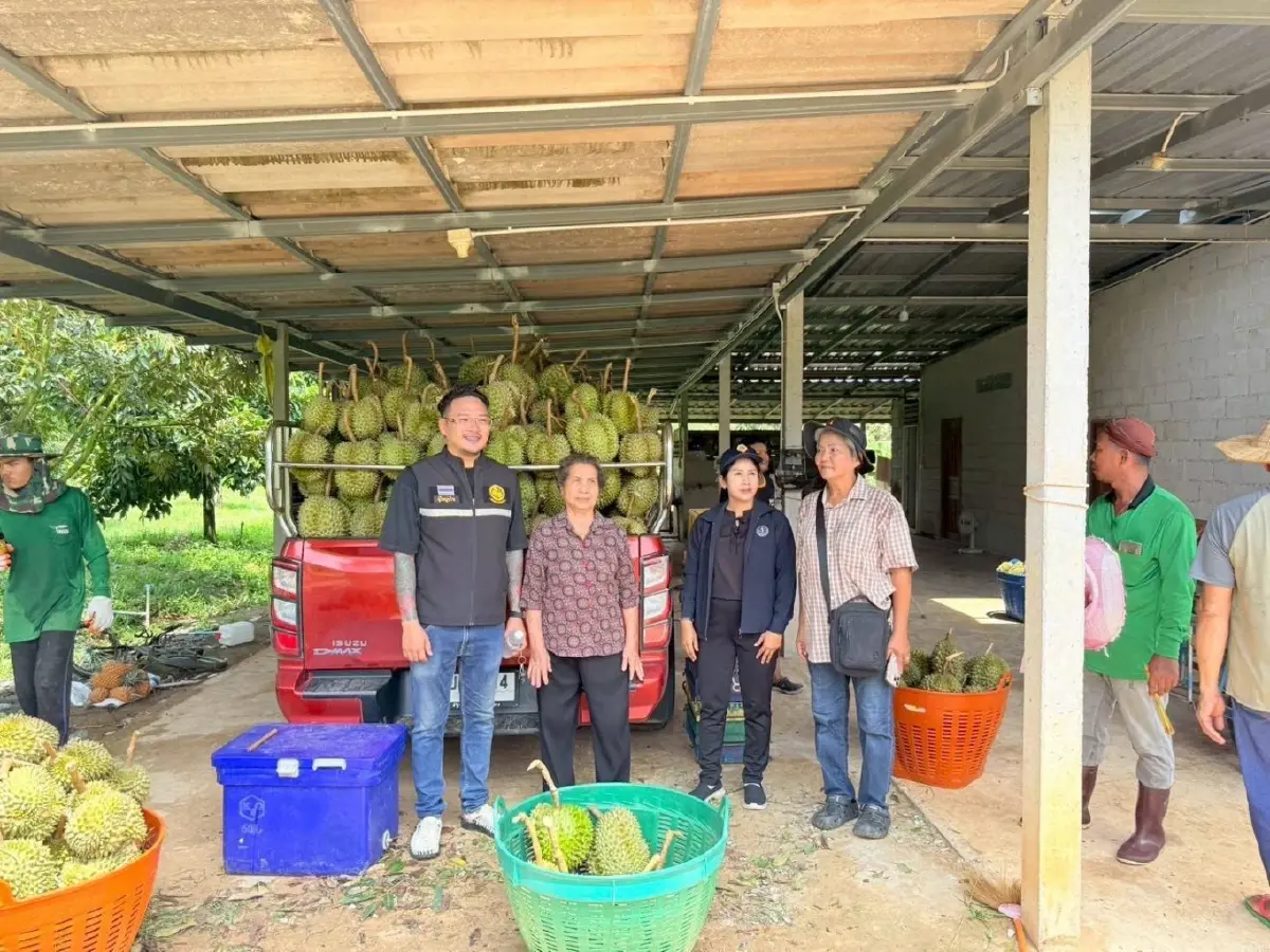 'โลกรวน' แต่เราต้องรอด.. 3 สเต็ปเกษตรกรชิงสิทธิเยียวยาให้ทันใจ