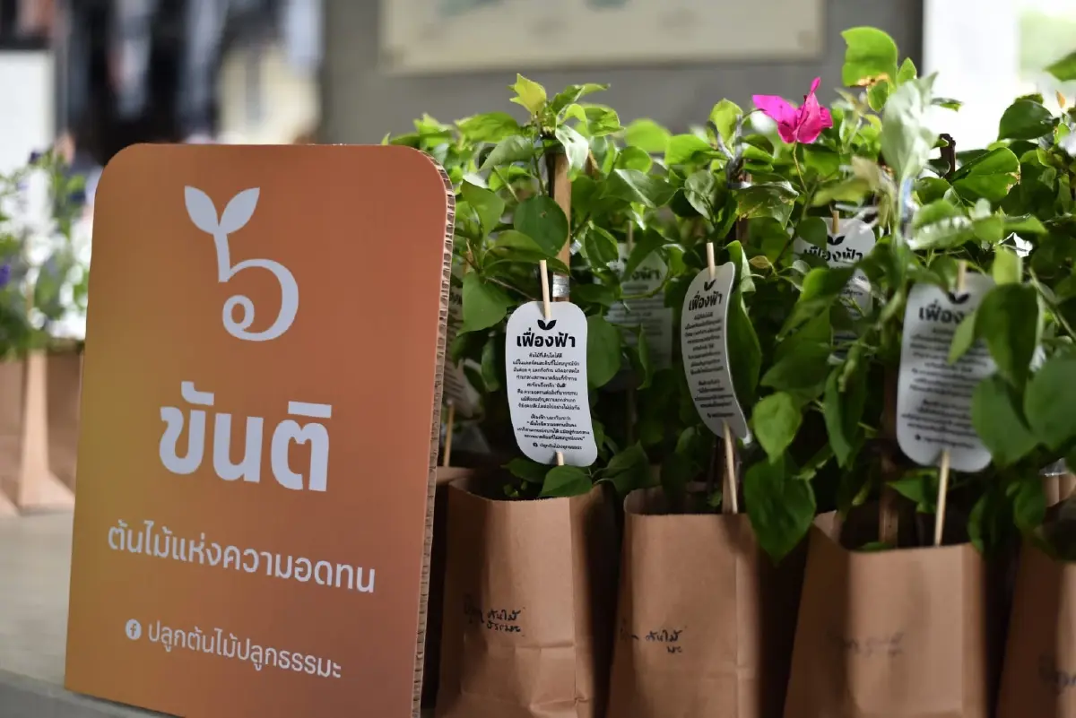 เวียนเทียนต้นไม้ วันวิสาขบูชา : ธรรมะ  ธรรมชาติ และความผูกพันกับต้นไม้
