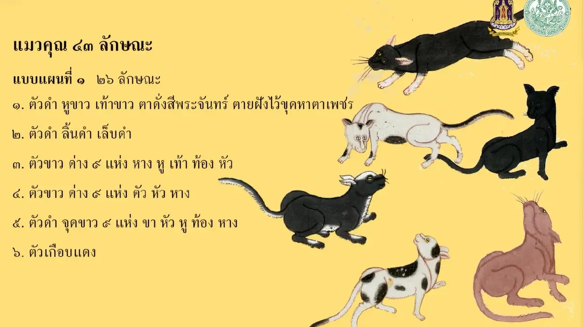 มารู้จัก ‘แมวไทย’ ให้มากขึ้น ผ่าน ‘วิฬาร์วรรณนา’ กวีนิพนธ์ตำราแมว