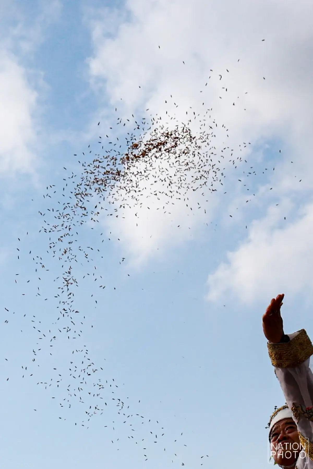 ภาพชุด ซ้อมใหญ่ งานพระราชพิธีพืชมงคลจรดพระนังคัลแรกนาขวัญ 2569