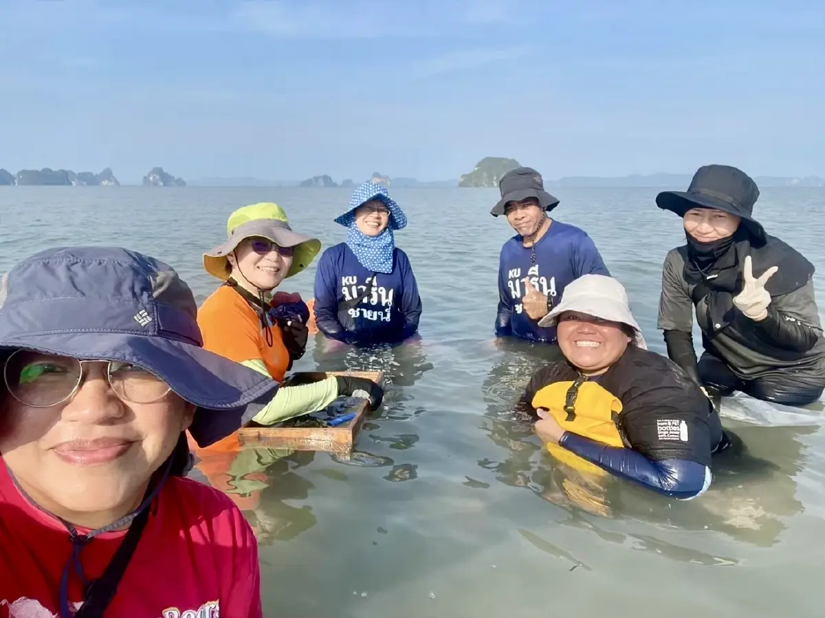 ‘KU-SST’ พลิกความสำเร็จฟื้นหญ้าทะเลไทยในพื้นที่ใหม่ครั้งแรก