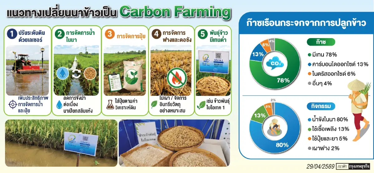 นาข้าว 60 ล้านไร่ ขุมทรัพย์คาร์บอน  200 ล้านบาทที่ไทยไม่เคยนับ