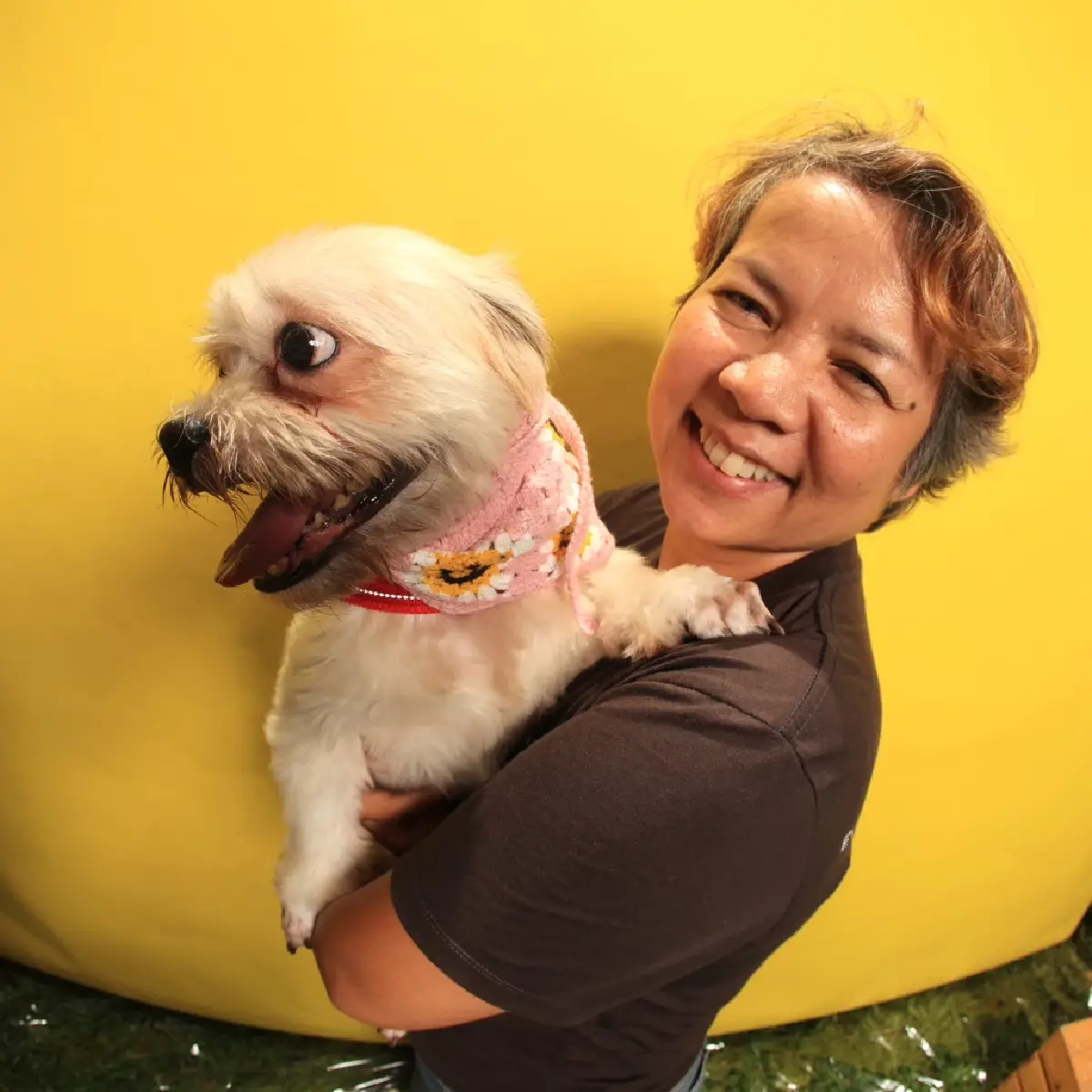 ‘SOS Animal Thailand’ กับภารกิจ 15 ปีหาบ้านให้สัตว์จรจัด เพื่อให้ทุกตัวได้เจอกับครอบครัวที่อบอุ่น