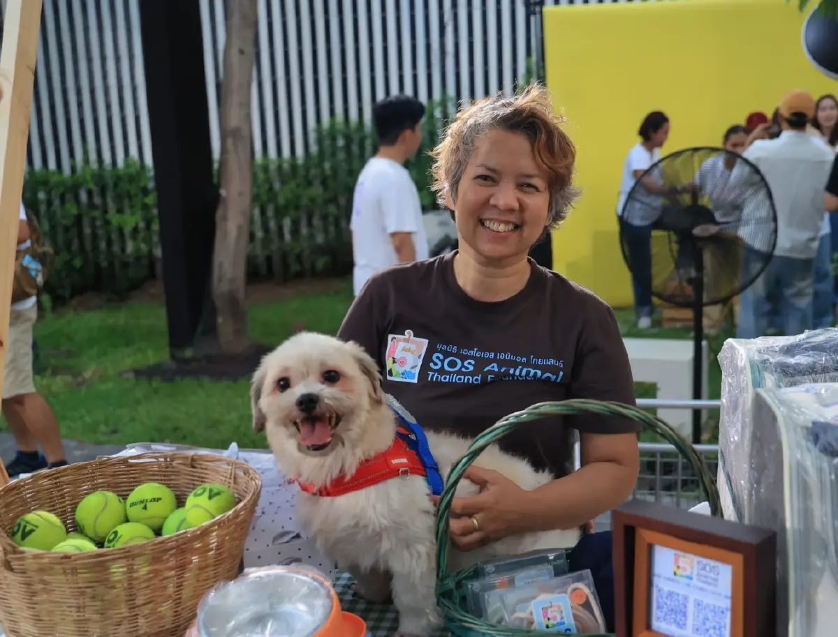 ‘SOS Animal Thailand’ กับภารกิจ 15 ปีหาบ้านให้สัตว์จรจัด เพื่อให้ทุกตัวได้เจอกับครอบครัวที่อบอุ่น