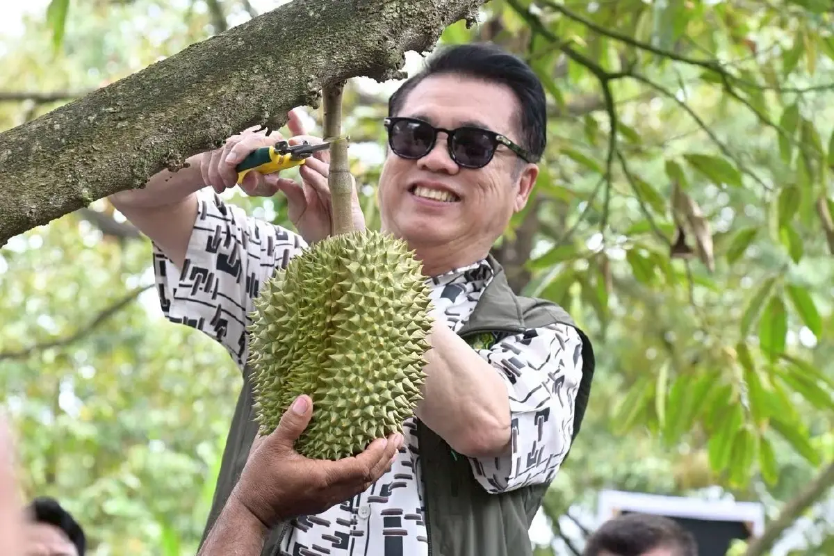 'สุริยะ' จัดทัพทุเรียนไทย ชูคุณภาพ 4 ไม่ มุ่งเป้า 1.5 แสนล้าน