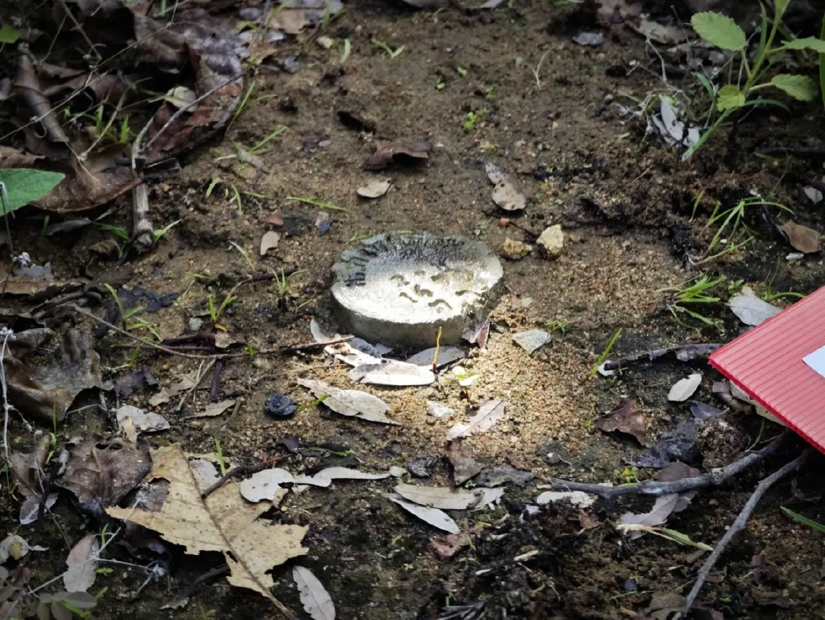 ปมโฉนดทับที่ป่าสงวน 3.5 หมื่นไร่ งานเข้าเจ้าหน้าที่รัฐ ชาวบ้านจ่อยื่นศาล