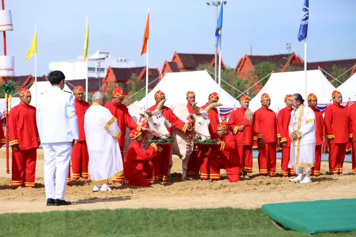 แรกนาปี 69 เสี่ยงทายผ้า 6 คืบน้ำน้อย พระโคกินถั่ว-น้ำ-หญ้า-เหล้า เศรษฐกิจรุ่งเรือง