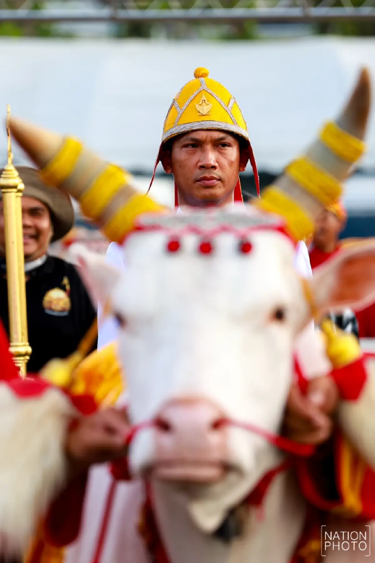 ภาพชุด ซ้อมใหญ่ งานพระราชพิธีพืชมงคลจรดพระนังคัลแรกนาขวัญ 2569
