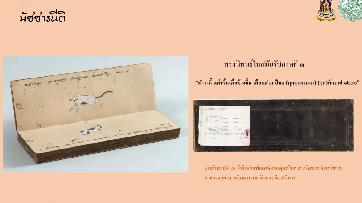 มารู้จัก ‘แมวไทย’ ให้มากขึ้น ผ่าน ‘วิฬาร์วรรณนา’ กวีนิพนธ์ตำราแมว