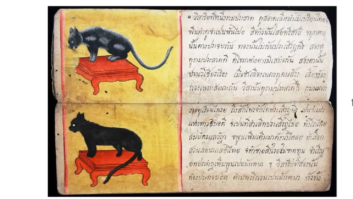 มารู้จัก ‘แมวไทย’ ให้มากขึ้น ผ่าน ‘วิฬาร์วรรณนา’ กวีนิพนธ์ตำราแมว