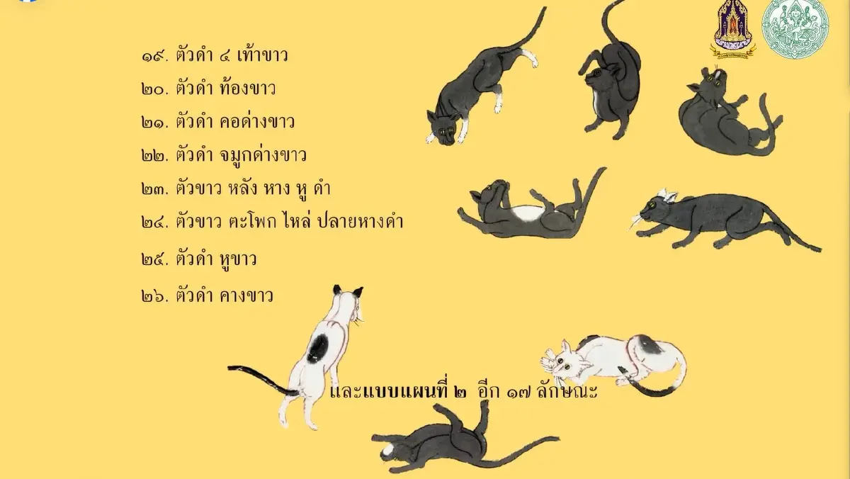 มารู้จัก ‘แมวไทย’ ให้มากขึ้น ผ่าน ‘วิฬาร์วรรณนา’ กวีนิพนธ์ตำราแมว