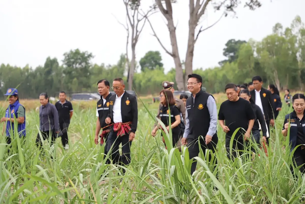 สว. ลง ชายแดนไทย-กัมพูชา จ.สุรินทร์ สั่งกวาดล้างระเบิดตกค้าง กาบเชิง