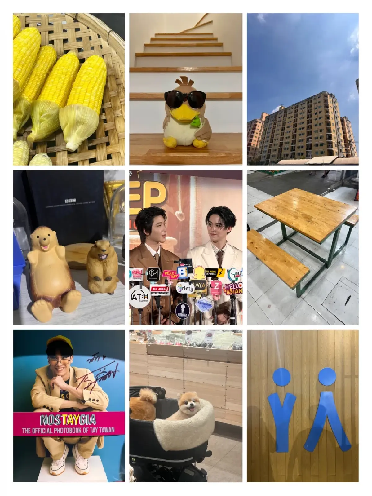 ‘Color Hunting’ เทรนด์ตามหาสีตามที่ต่าง ๆ วิธีลดเครียด-กระชับสัมพันธ์ แบบไม่ต้องเสียเงิน