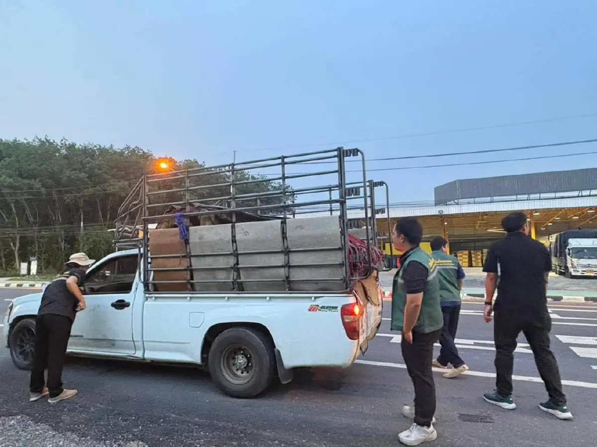 สกัดทุเรียนอ่อน เกษตรฯลุยตะวันออก คุมเข้มคุณภาพสร้างความเชื่อมั่น