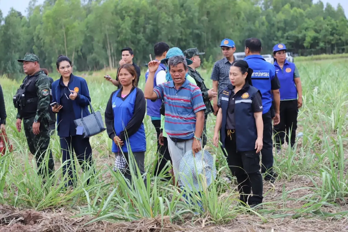 สว. ลง ชายแดนไทย-กัมพูชา จ.สุรินทร์ สั่งกวาดล้างระเบิดตกค้าง กาบเชิง