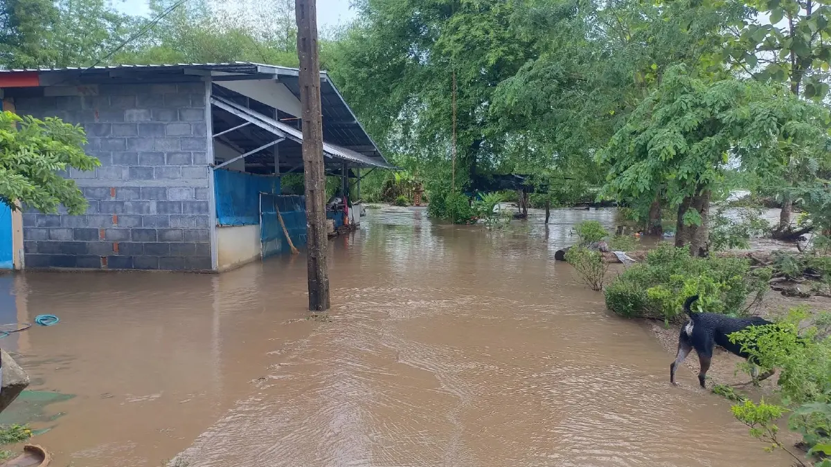ฝนตกหนักเพชรบูรณ์ น้ำป่าทะลักจม 3 ตำบล ชาวบ้านหนีน้ำท่วมวุ่น