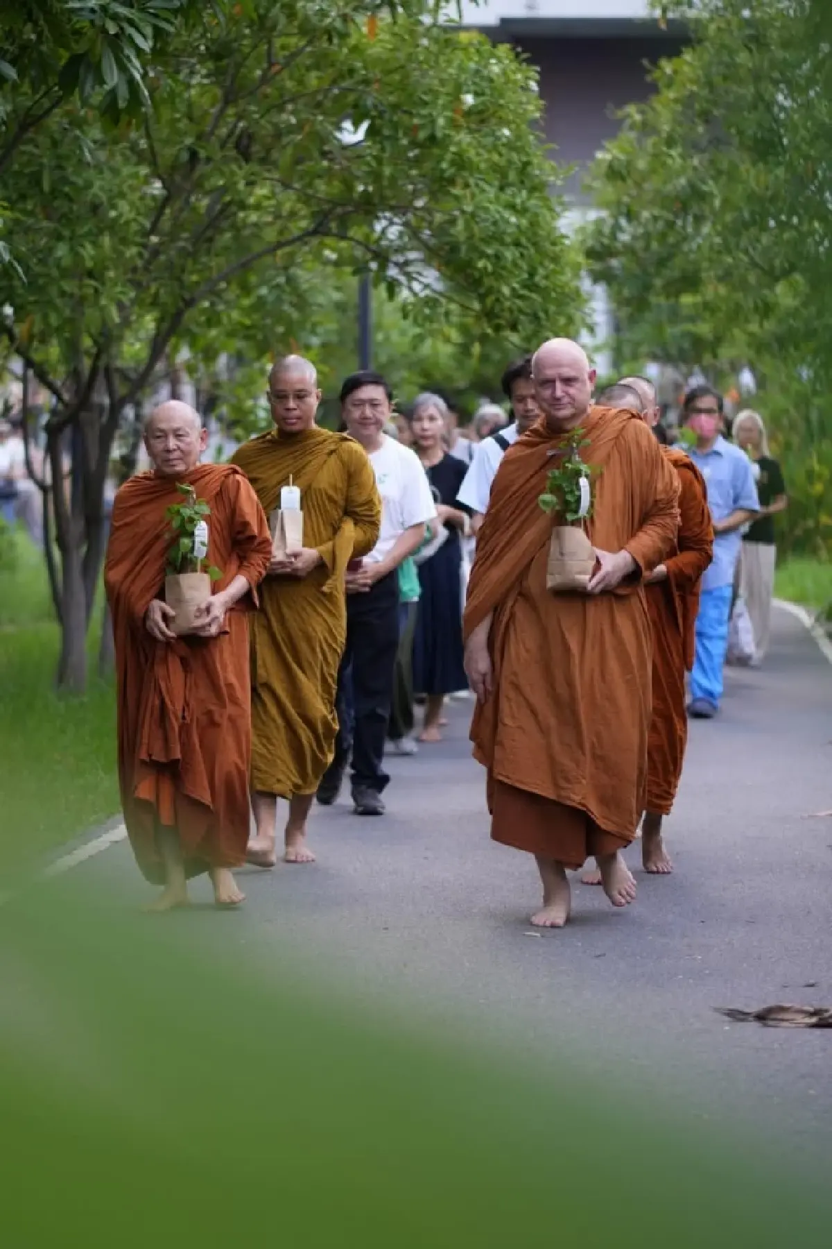 เวียนเทียนต้นไม้ วันวิสาขบูชา : ธรรมะ  ธรรมชาติ และความผูกพันกับต้นไม้