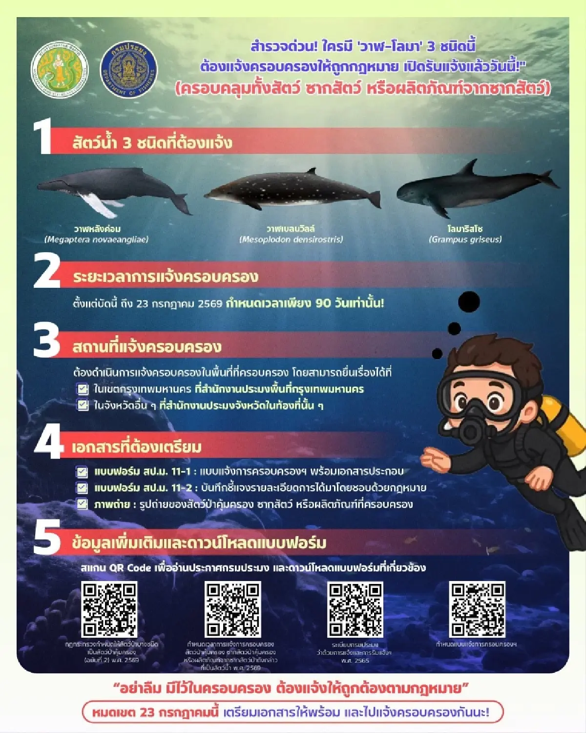 กรมประมงเปิดแจ้งครอบครอง 3 สัตว์น้ำคุ้มครองใหม่ ถึง 23 ก.ค. 69