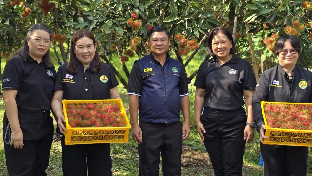 4 หมัดเด็ดสหกรณ์ ส่ง Fresh From Farm บุกกรุง ดันผลไม้ไทยพุ่งสู่ตลาดโลก