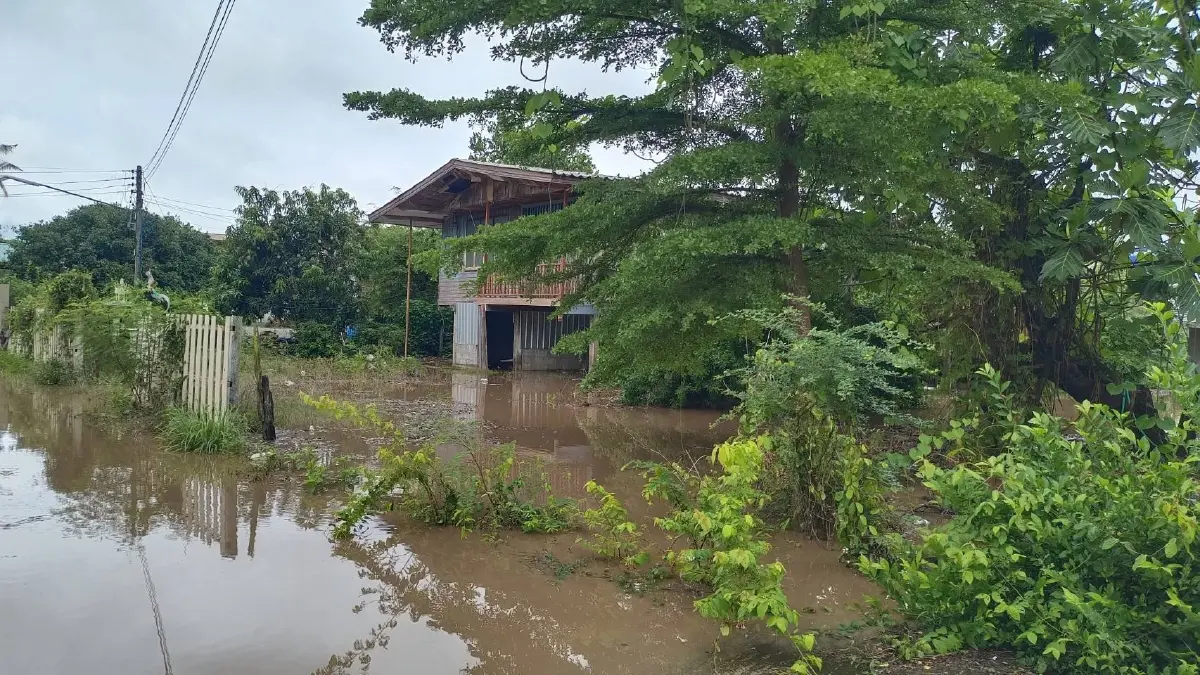 ฝนตกหนักเพชรบูรณ์ น้ำป่าทะลักจม 3 ตำบล ชาวบ้านหนีน้ำท่วมวุ่น